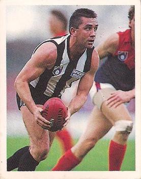 1993 Select AFL Stickers #75 Tony Shaw Front